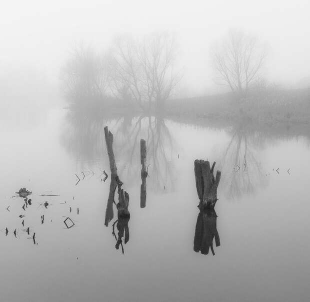 Фотографии туманных пейзажей Фотографии туманных пейзажей красиво, пейзажи, природа, туман, фотографии