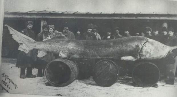 1921 год. Фото взято из открытых источников.