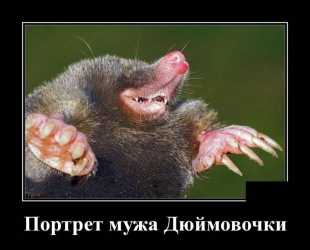 Демотиваторы (30 фото)