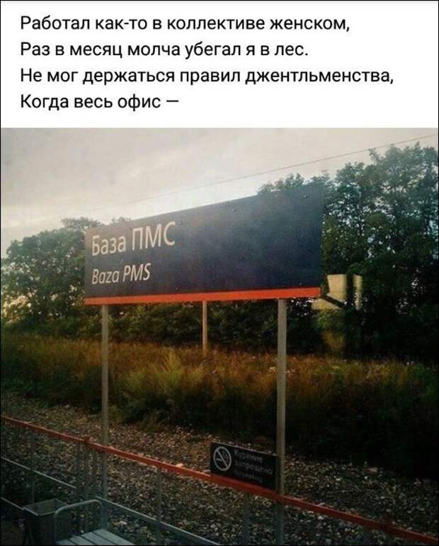 Фотоподборка