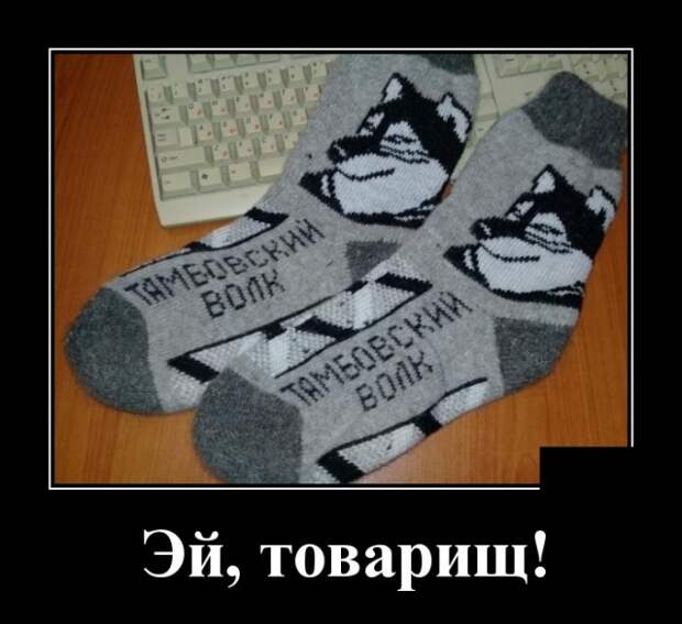 Демотиваторы (30 фото)