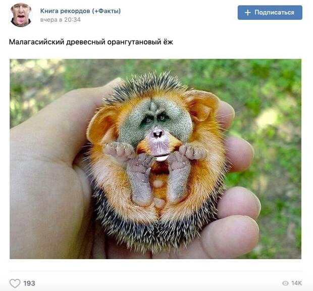 И ведь верят же И ведь верят же