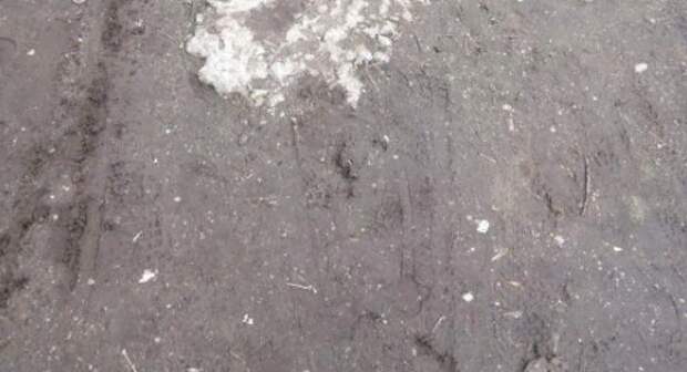 Ргд 5 боевая. На новочеркасском нашли. Нашли гранатомет серебрянке. Катакомбы под школой. Фото погибшего в лесополосе с позывным ворон луганская область.
