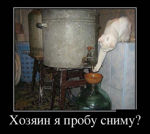 1469124415_10