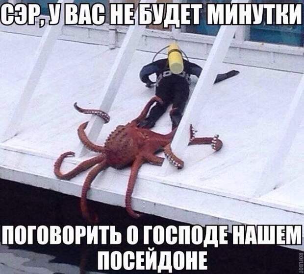 Прикольные и веселые картинки с надписями со смыслом (11 фото) Прикольные и веселые картинки с надписями со смыслом (11 фото)