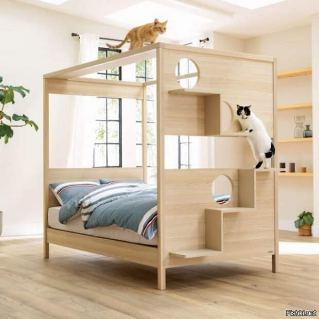 f5a7f9cfbb78fecf530a1c1d1f1cc5d4 (640x640, 212Kb)