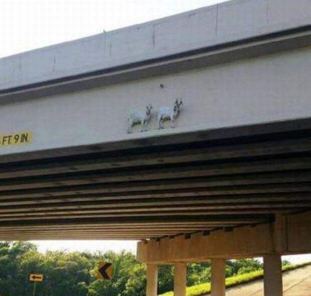 1453403314_73
