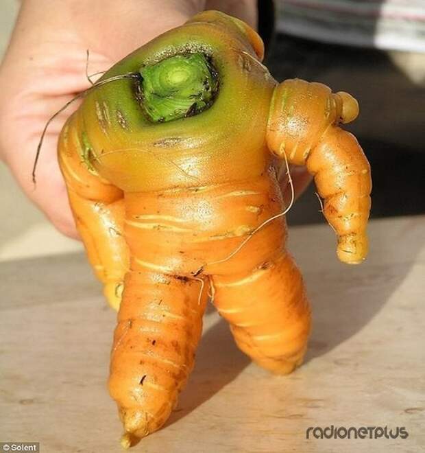 Смешные овощи-мутанты