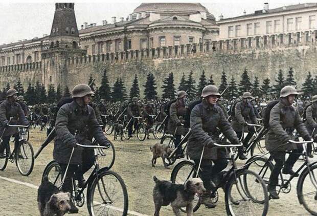 Противотанковые собаки во время Великой отечественной войны
