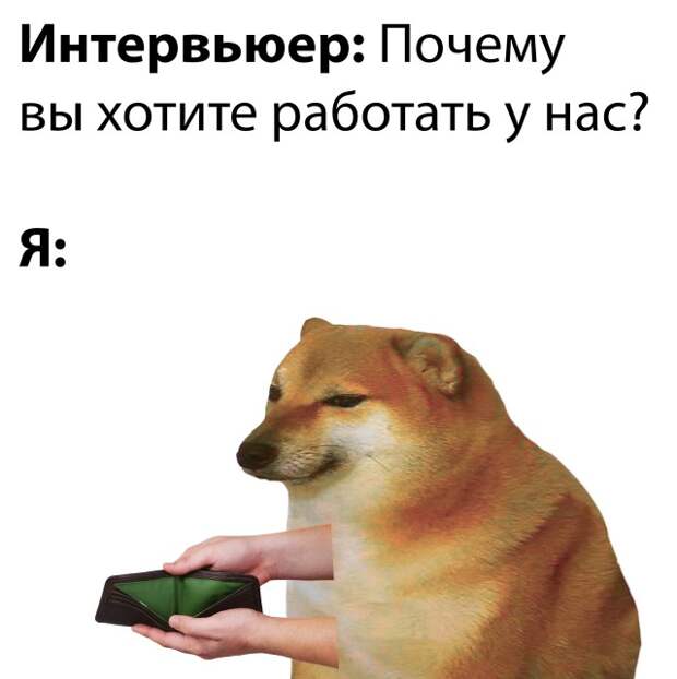 Смешные картинки 27 декабря 2021 года