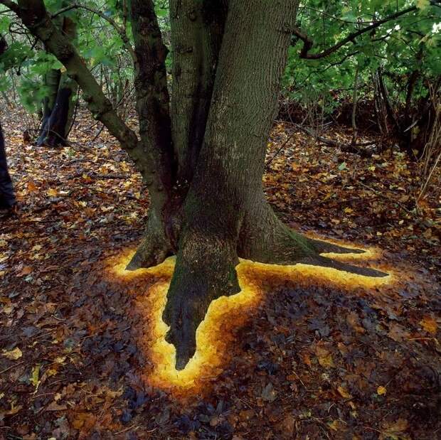 Лэнд-арт из опавших листьев жить, творчество, фото
