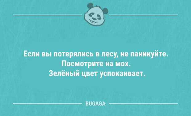 Анекдоты в середине недели (9 шт)