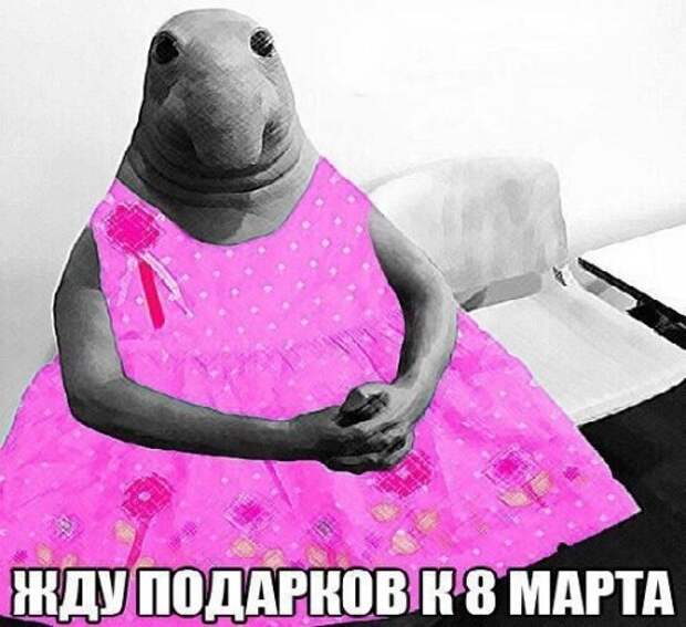 Анекдоты для отличного настроения (20 шт)