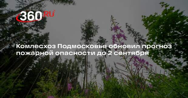 Комлесхоз Подмосковья обновил прогноз пожарной опасности до 2 сентября