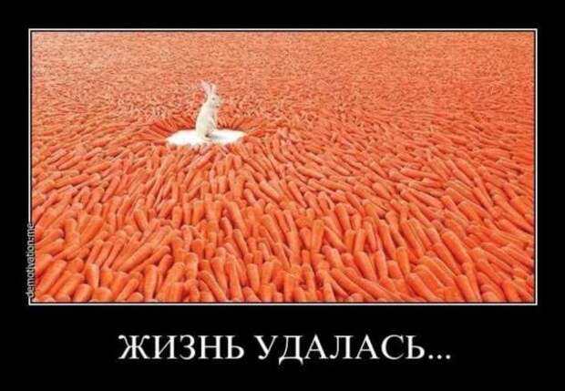 Прикольные демотиваторы с надписями. Подборка chert-poberi-dem-chert-poberi-dem-24290901072020-12 картинка chert-poberi-dem-24290901072020-12