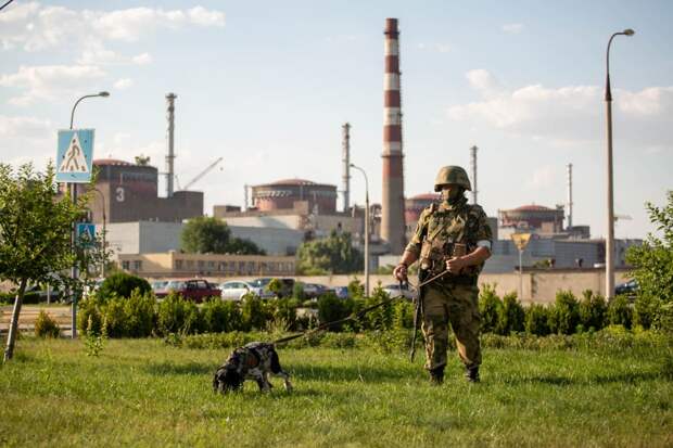 Рогов назвал реакцию МАГАТЭ на удар ВСУ по посту контроля радиации «жестью»