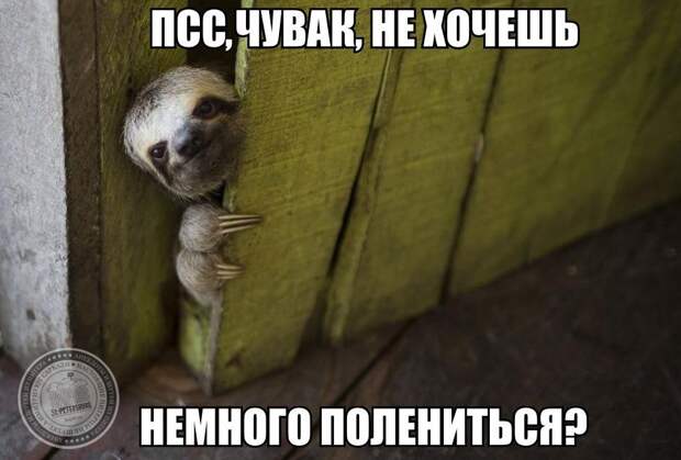 Пссс… Чувак, не хочешь немного полениться?
