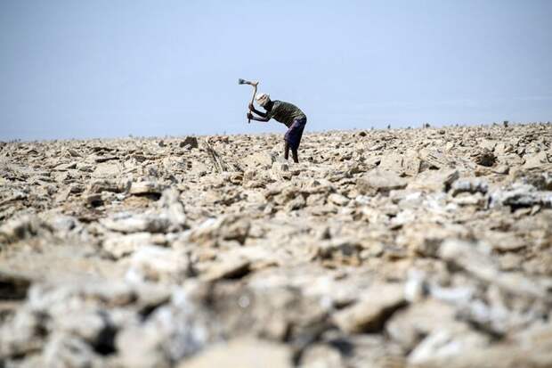 Местный мужчина вручную выкапывает соляные блоки. Фото: Карл Корт (Carl Court: Getty) безжизненное место, вулканы, интересное, фотографии