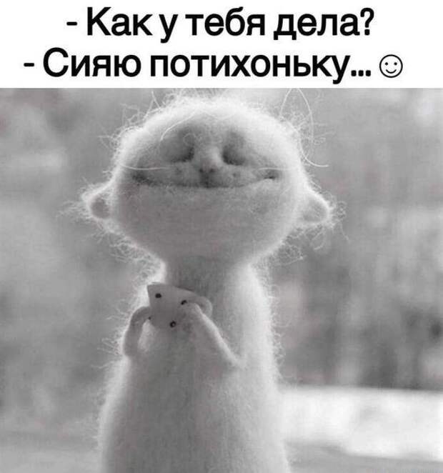 Подборка супер смешных картинок и мемов