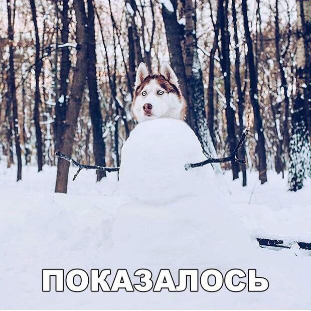 Смешные картинки с надписями для веселья (12 фото) Смешные картинки с надписями для веселья (12 фото)