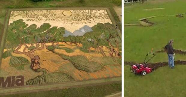 Художник воссоздал картину Ван Гога на поле площадью 5000 квадратных метров в мире, ван гог, деревья, земля, картина, поле, художник