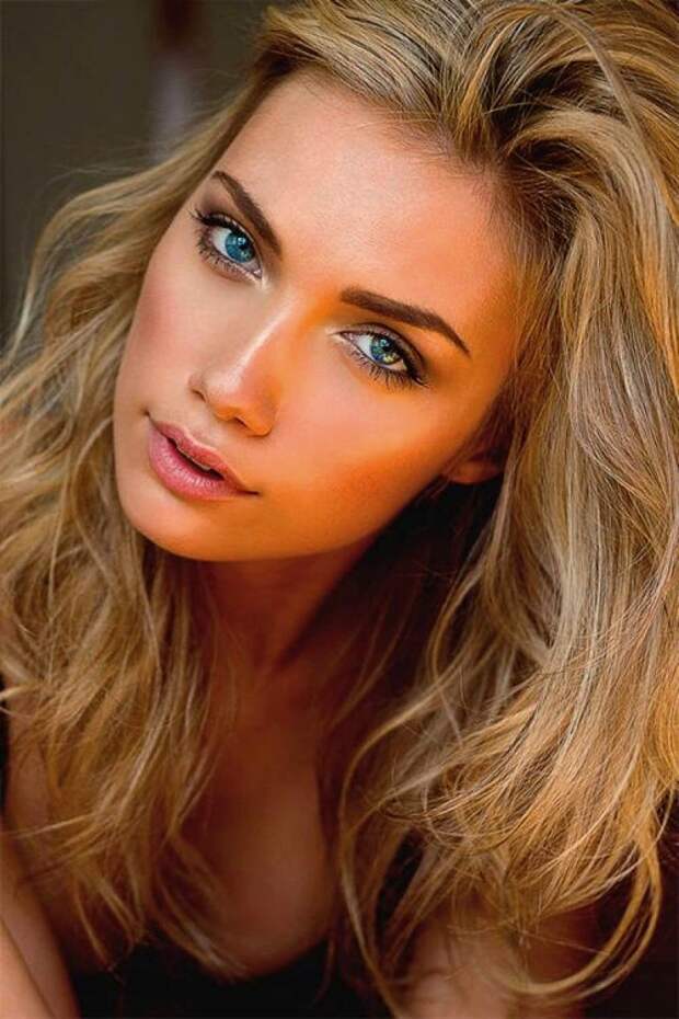 Alden Steimle