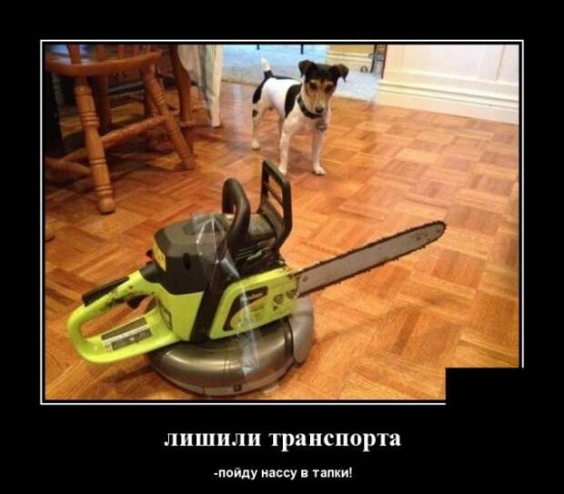 Демотиваторы (30 фото)