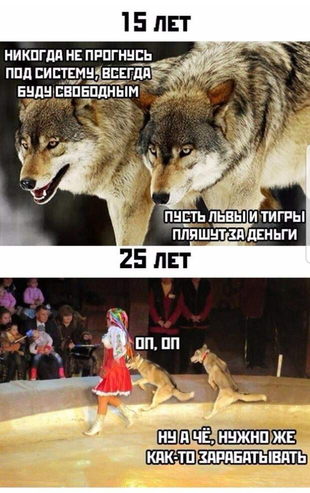 Деньги не пахнут Деньги не пахнут