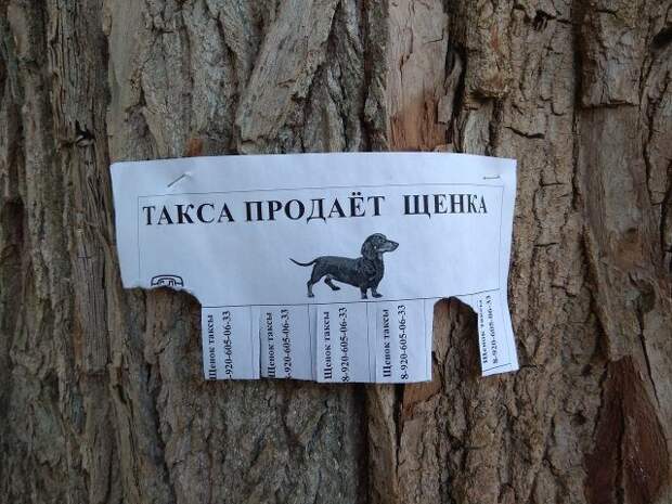 Прикольные объявления и реклама!!!