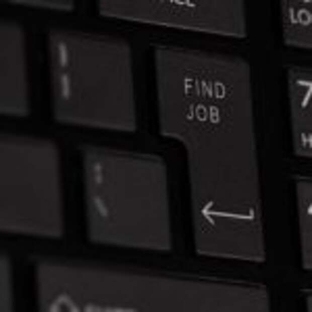 job search