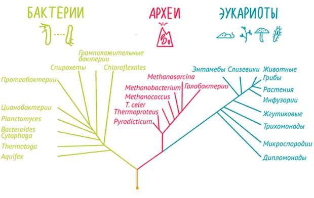 Самые важные моменты для жизни на Земле