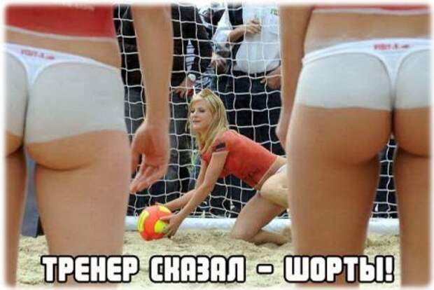 Поржачная солянка! #154