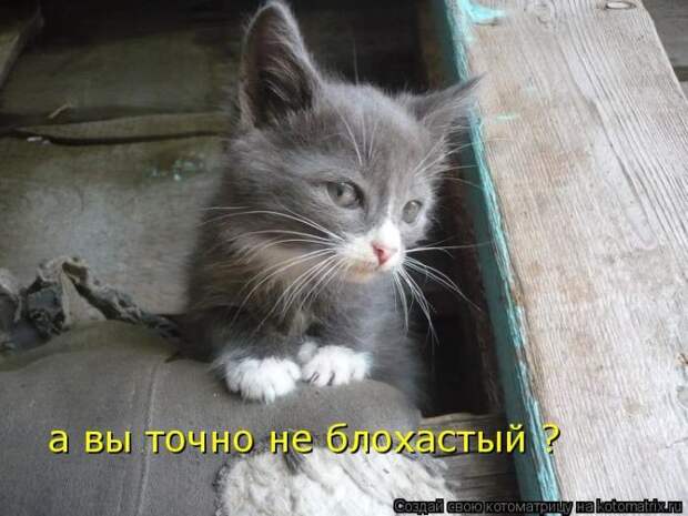 Мысли вслух :)