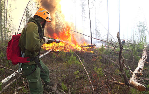 Природные пожары бушуют в нескольких российских регионах