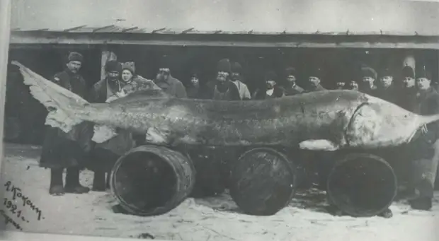 1921 год. Фото взято из открытых источников. 