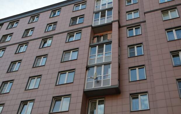 В Славянке спасли ворону, застрявшую лапой в балконе девятиэтажки