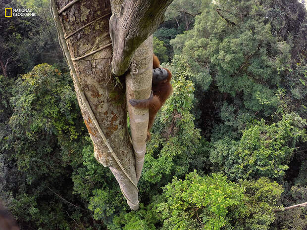 best-photos-2016-natgeo-national-geographic-81