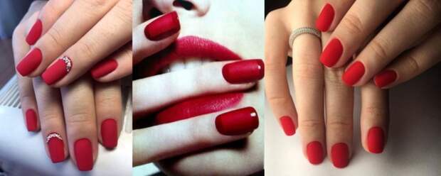 12 вариантов для каждого знака Зодиака