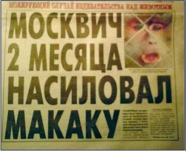 Приколы