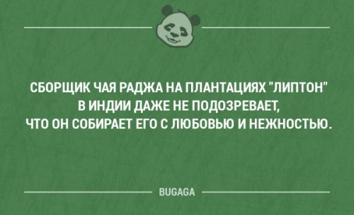 Забавные мысли и высказывания. Часть 72 (16 шт)