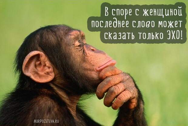 Подборка смешных картинок для хорошего настроения