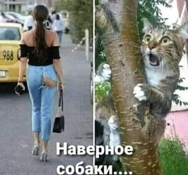 1-1.jpg (665x619, 333Kb)