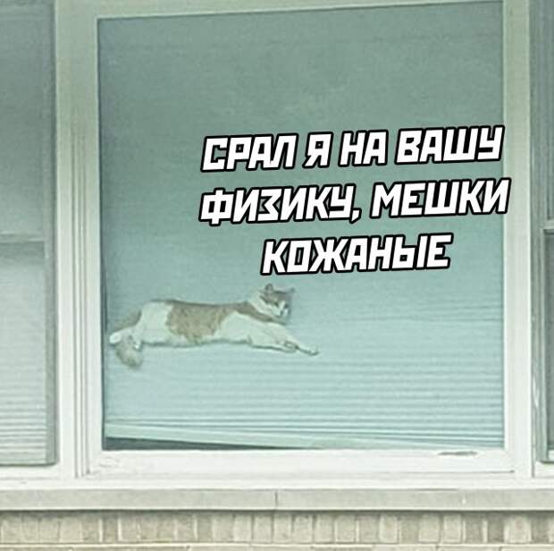Смешные картинки 27 октября 2021 года