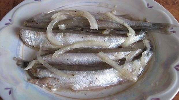 Мойва по вкусу как дорогие анчоусы. Отличный рецепт!