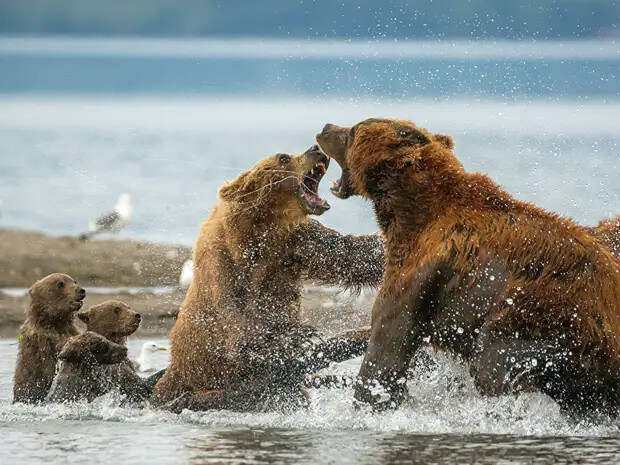 Красоты России. Фотографии Дениса Будькова