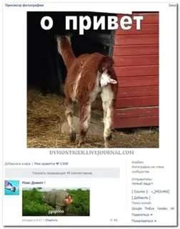 Смешные комментарии. Подборка chert-poberi-kom-chert-poberi-kom-12290504012021-7 картинка chert-poberi-kom-12290504012021-7
