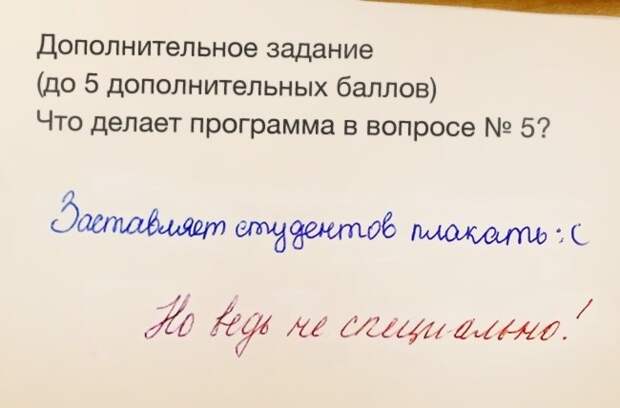 Ученики, которые изо всех сил старались быть лучшими, но что-то пошло не так-21 фото-