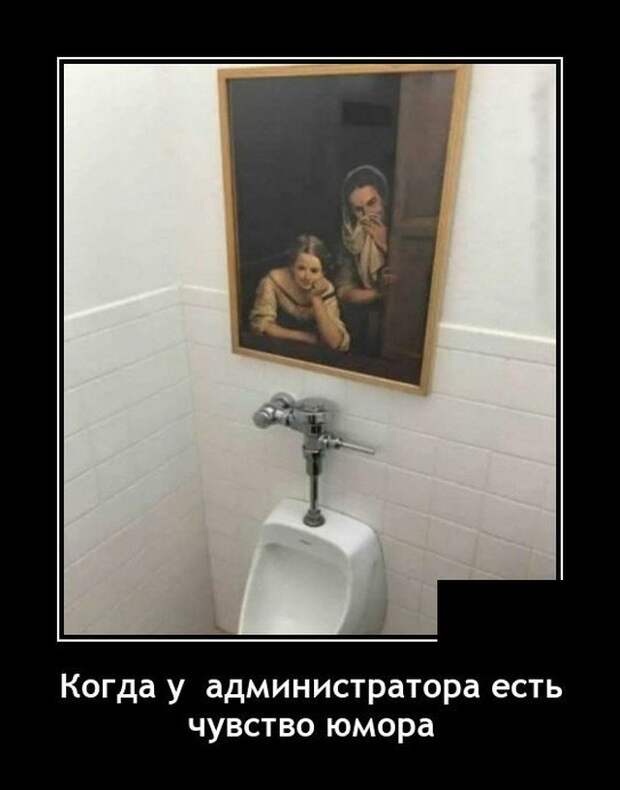 Демотиватор про туалеты