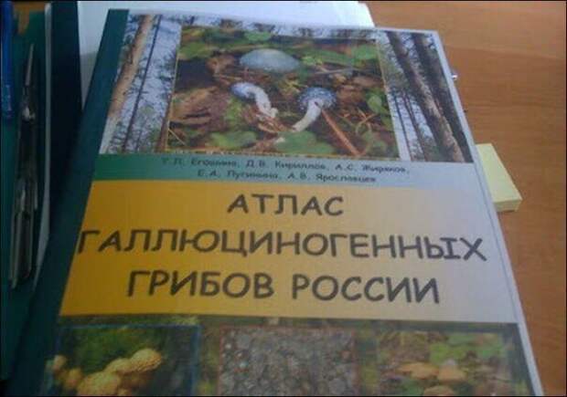 ErMdEmtRewE