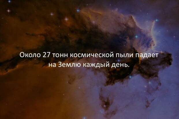 Интересные факты обо всем на свете
